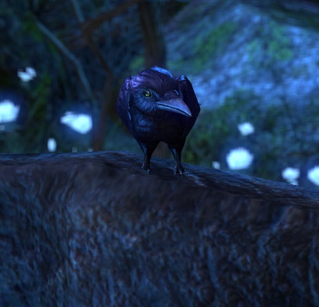 Datei:ESO Der Kastellan.jpg