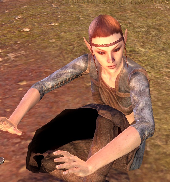 Datei:ESO Fandir.jpg