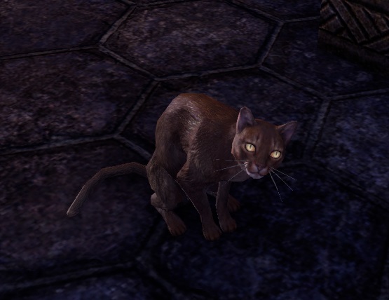 Datei:ESO Sir Rattenfänger.jpg