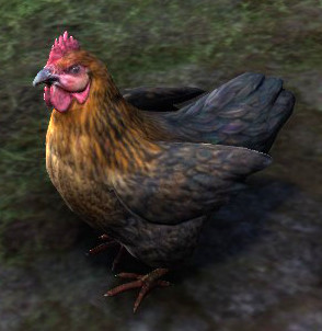Datei:ESO Huhn.jpg