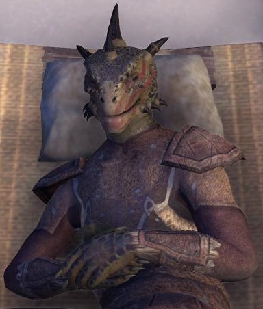 Datei:ESO Jagt-im-Schatten.jpg