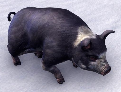 Datei:ESO Psijik-Dominoschwein.jpg