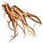 ESO Icon Ginseng.png