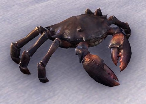 Datei:ESO Nibenay-Schlammkrabbe.jpg