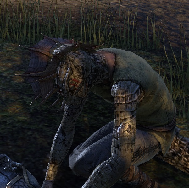 Datei:ESO Grinst-beim-Segeln.jpg