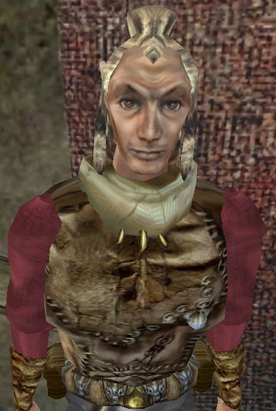 Datei:MW Arathor.jpg