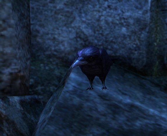 Datei:ESO Die Eremitenkrähe.jpg