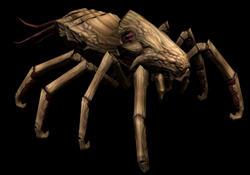 Datei:ESO Kwamaskrib Promo.jpg