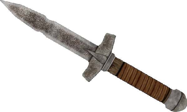 Datei:Eisendolch Obl.jpg