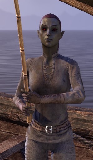 Datei:ESO Fealu Aravel.jpg