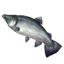 ESO Icon Lachs.png