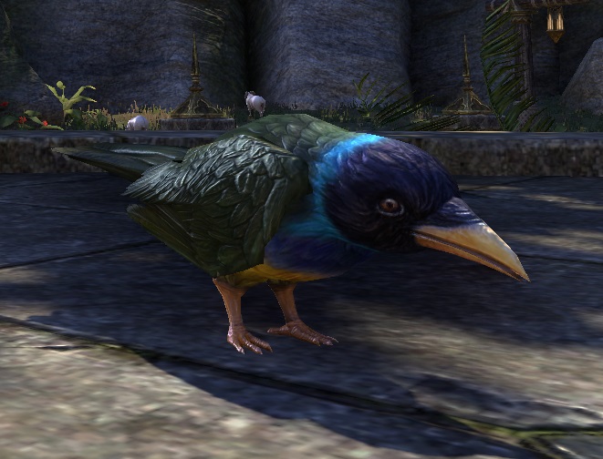 Datei:ESO bunter Vogel.jpg