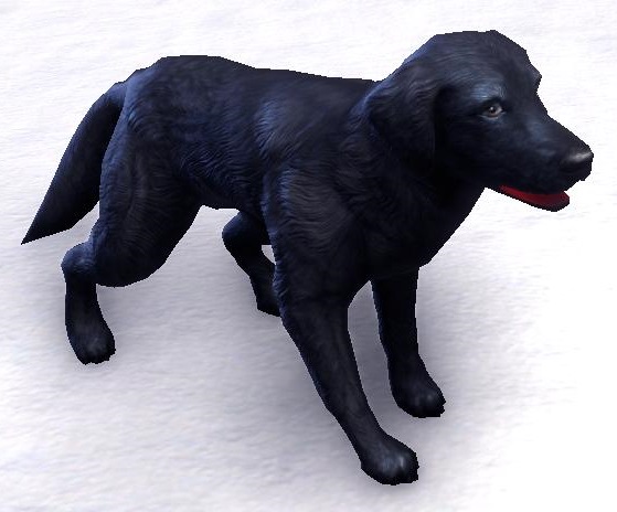 Datei:ESO Schornhelm-Hütehund.jpg