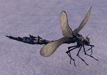 Datei:ESO Königliche Dovahviin.jpg