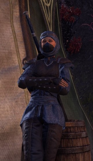 Datei:ESO Zenturio Beerta.jpg