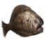 ESO Icon Dhufisch.png