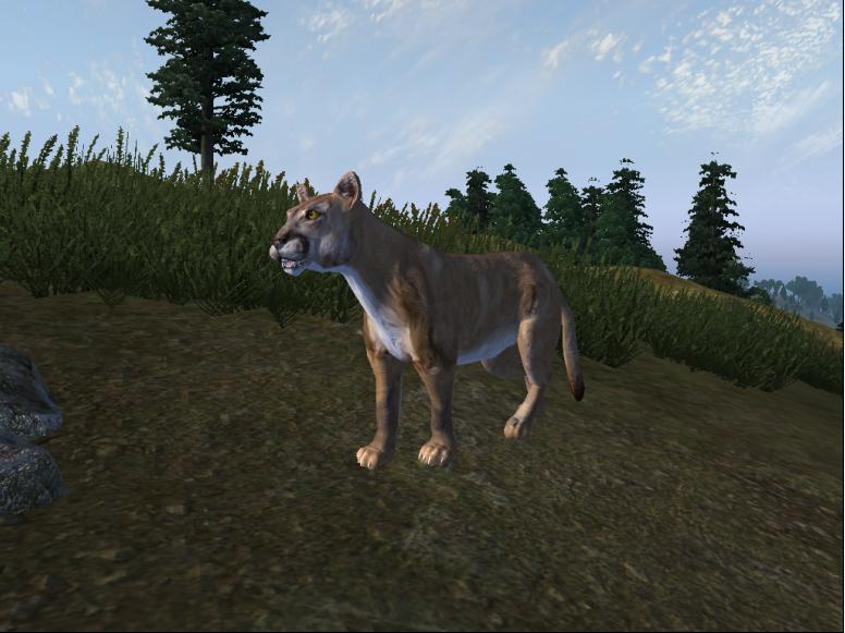 Datei:OBL Berglöwe.jpg