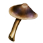 ESO Icon crafting mushroom entoloma cap r1.png