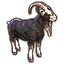 ESO Icon pet 041.png