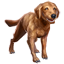ESO Icon pet 008.png