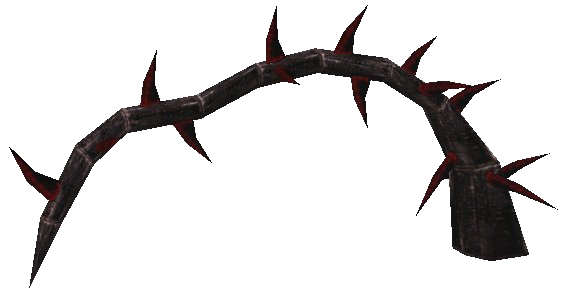 Datei:Tramawurzel Pflanze.png