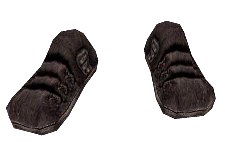 Datei:BM Gewöhnliche Schuhe3.png