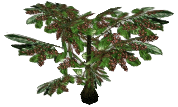 Datei:MW Cohmbeere Strauch.png