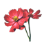 ESO Icon Lotusblüte.png