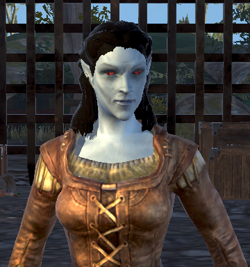 Datei:BL Dunkelelfe.jpg