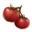 ESO Icon Tomate.png