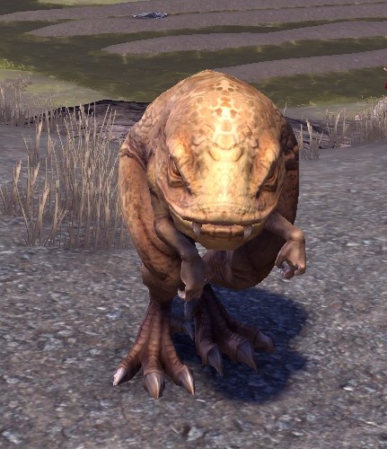 Datei:ESO Dollie.jpg