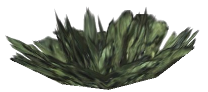 Datei:Grüne Flechte Pflanze.png