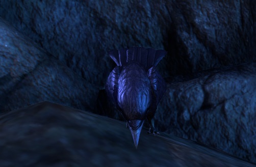 Datei:ESO Der Hofmagister.jpg