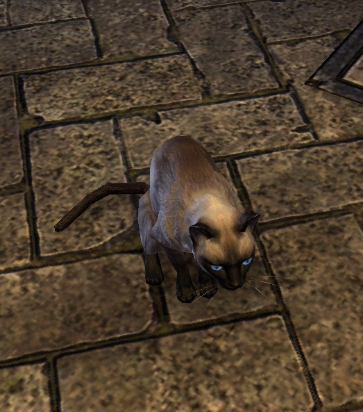 Datei:ESO Missmaunz.jpg