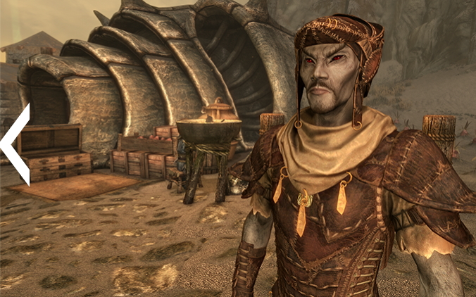 Datei:SR CC Netch Armor 2.jpg