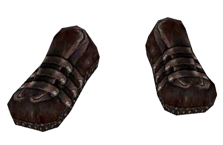 Datei:BM Gewöhnliche Schuhe4.png