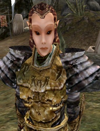 Datei:MW Estinan ohne Helm.jpg