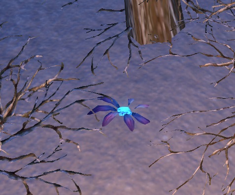 Datei:ESO Frostherzblüte.jpg