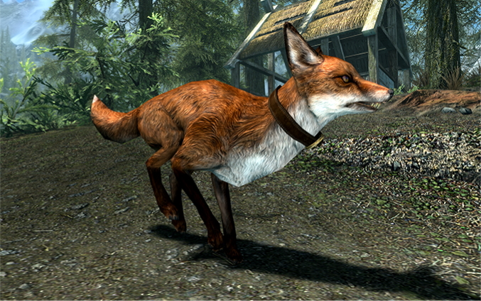 Datei:SR CC Pets Skyrim 7.jpg