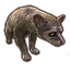 ESO Icon pet bassarisk a basic.png