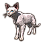 ESO Icon pet sphynxlynx.png