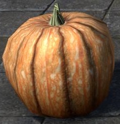 Datei:ESO Winterkürbis, Schaustück.jpg