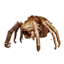 ESO Icon pet 004.png