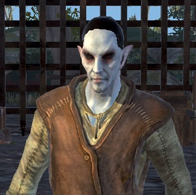 Datei:BL Dunkelelf.jpg