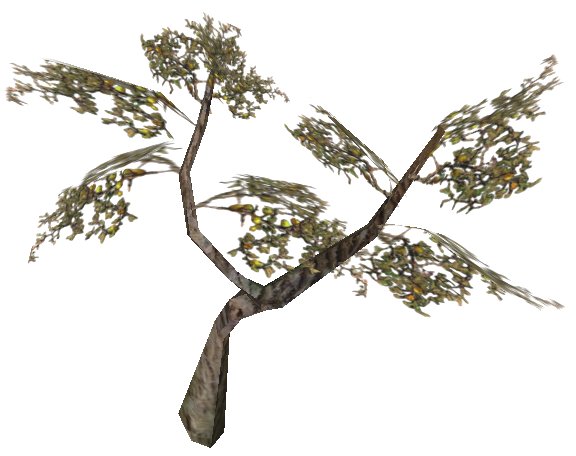 Datei:Roobusch Pflanze.jpg