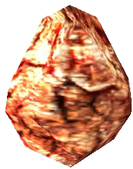 OBL Wasserwurz-Schotenkern.png