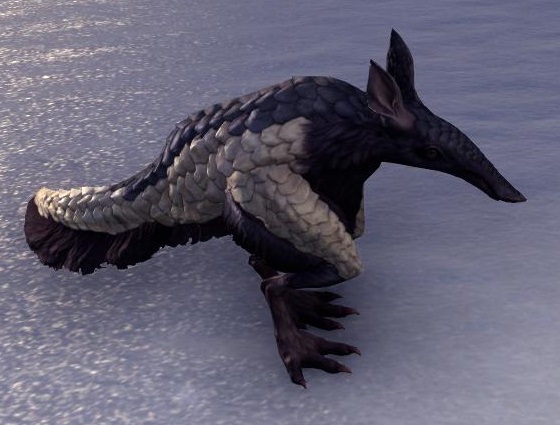 Datei:ESO Frack-Vvardvark.jpg