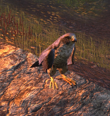 Datei:ESO Justals Falke.jpg