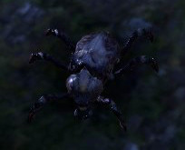 Datei:ESO Käfer.jpg