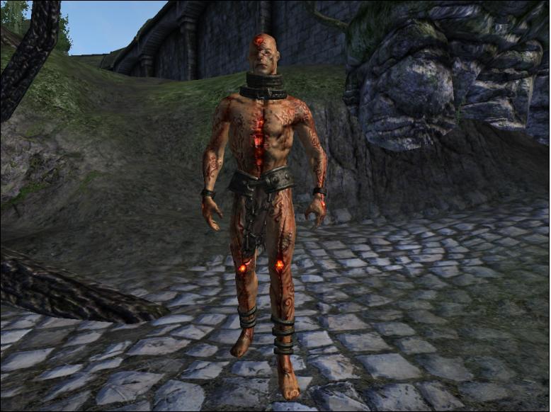 Datei:OBL Fleischatronach.jpg